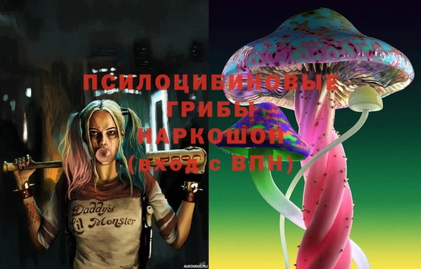 стафф Волосово