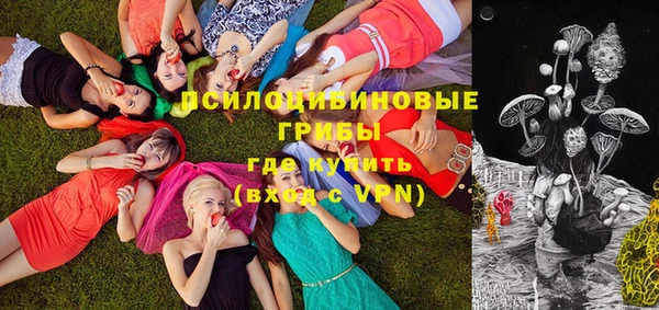 МДПВ Волоколамск