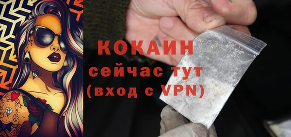 МДПВ Волоколамск