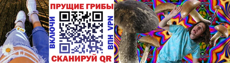 Псилоцибиновые грибы мухоморы где купить наркоту Королёв