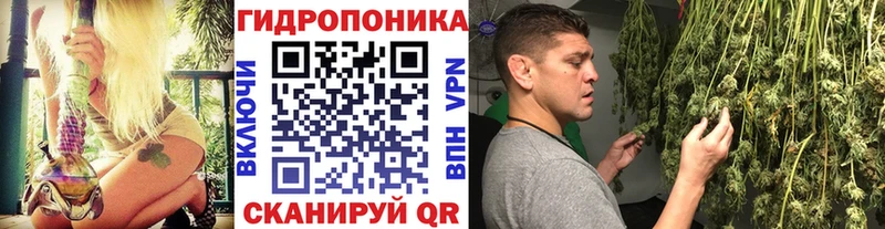 hydra сайт  Королёв  Конопля сатива 